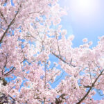 2021年　藤井セミナー江平校　合格速報！！